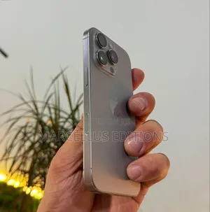 Apple iPhone 16 Pro Max 256 GB Gray