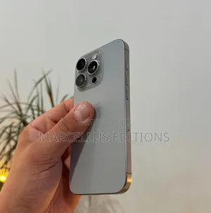 Apple iPhone 16 Pro Max 256 GB Gray