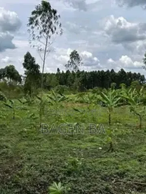 7.2 Acres in Zirombe