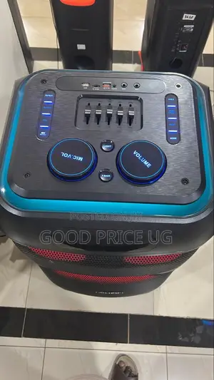 Ailipu Amplified Rechargeable Party Speaker
