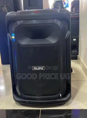 Ailipu Rechargeable Portable Party and Karaoke Speaker System