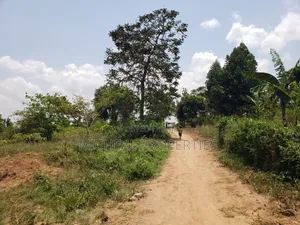 1acer and 37 Decimals Gayaza Nakasajja 120m
