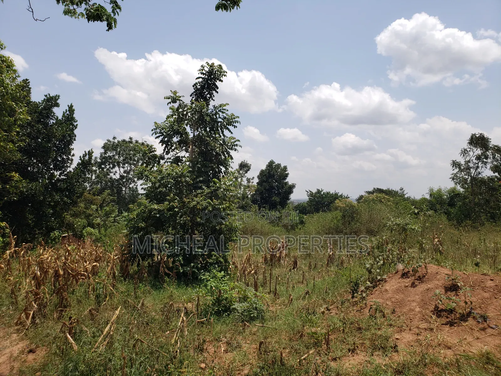 1acer and 37 Decimals Gayaza Nakasajja 120m