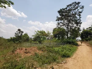 1acer and 37 Decimals Gayaza Nakasajja 120m