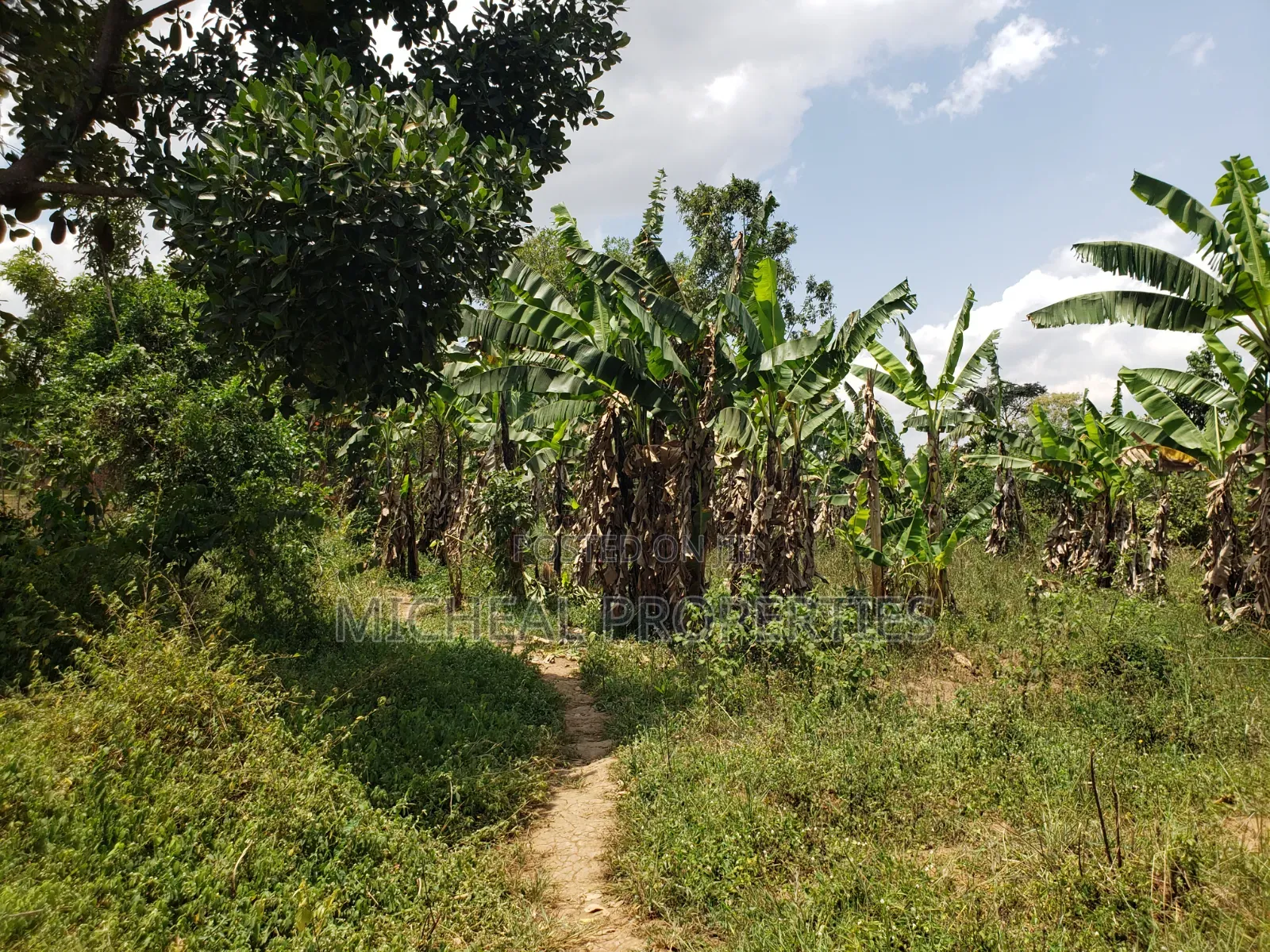 1acer and 37 Decimals Gayaza Nakasajja 120m