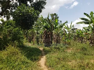 1acer and 37 Decimals Gayaza Nakasajja 120m
