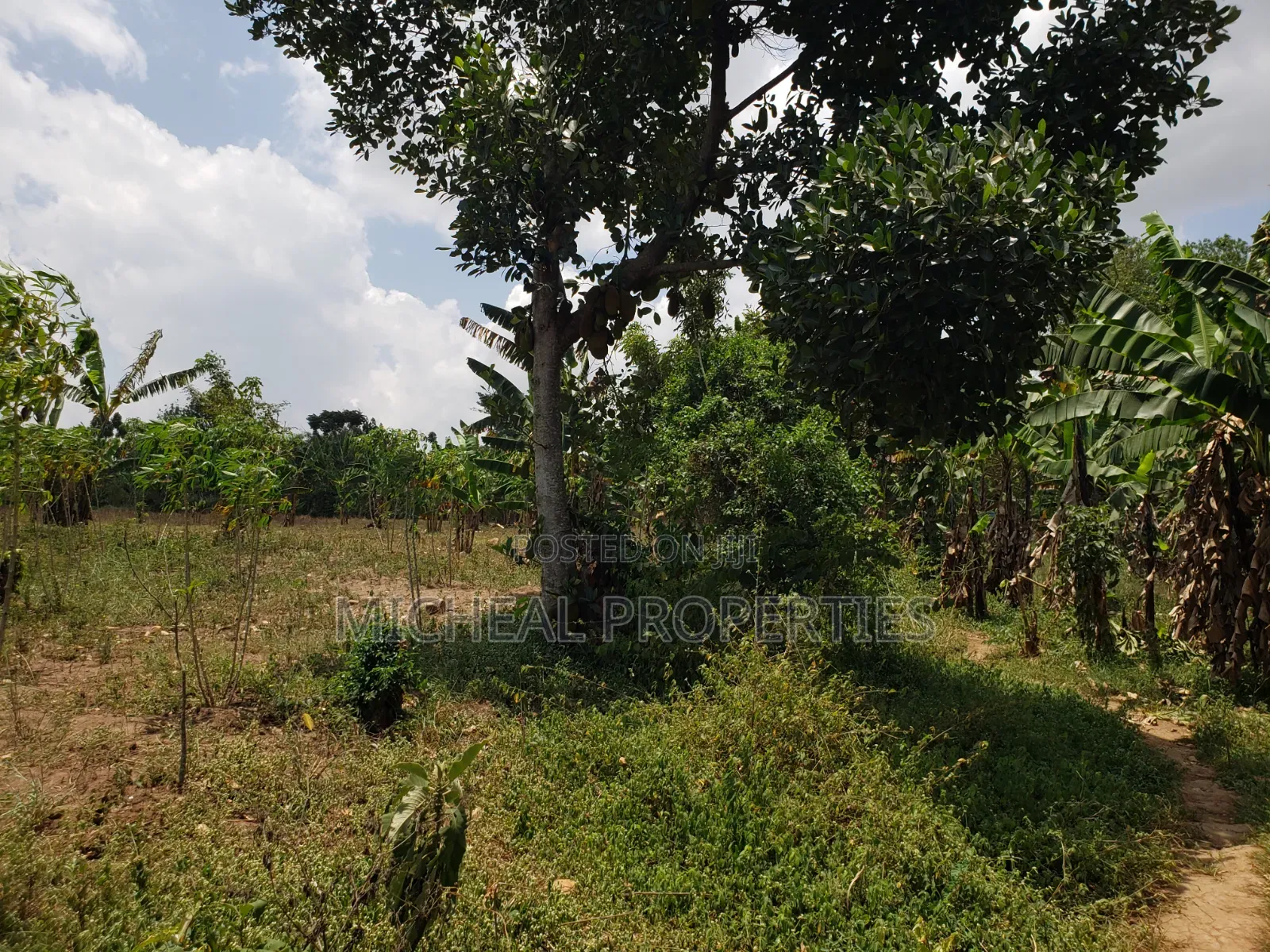 1acer and 37 Decimals Gayaza Nakasajja 120m