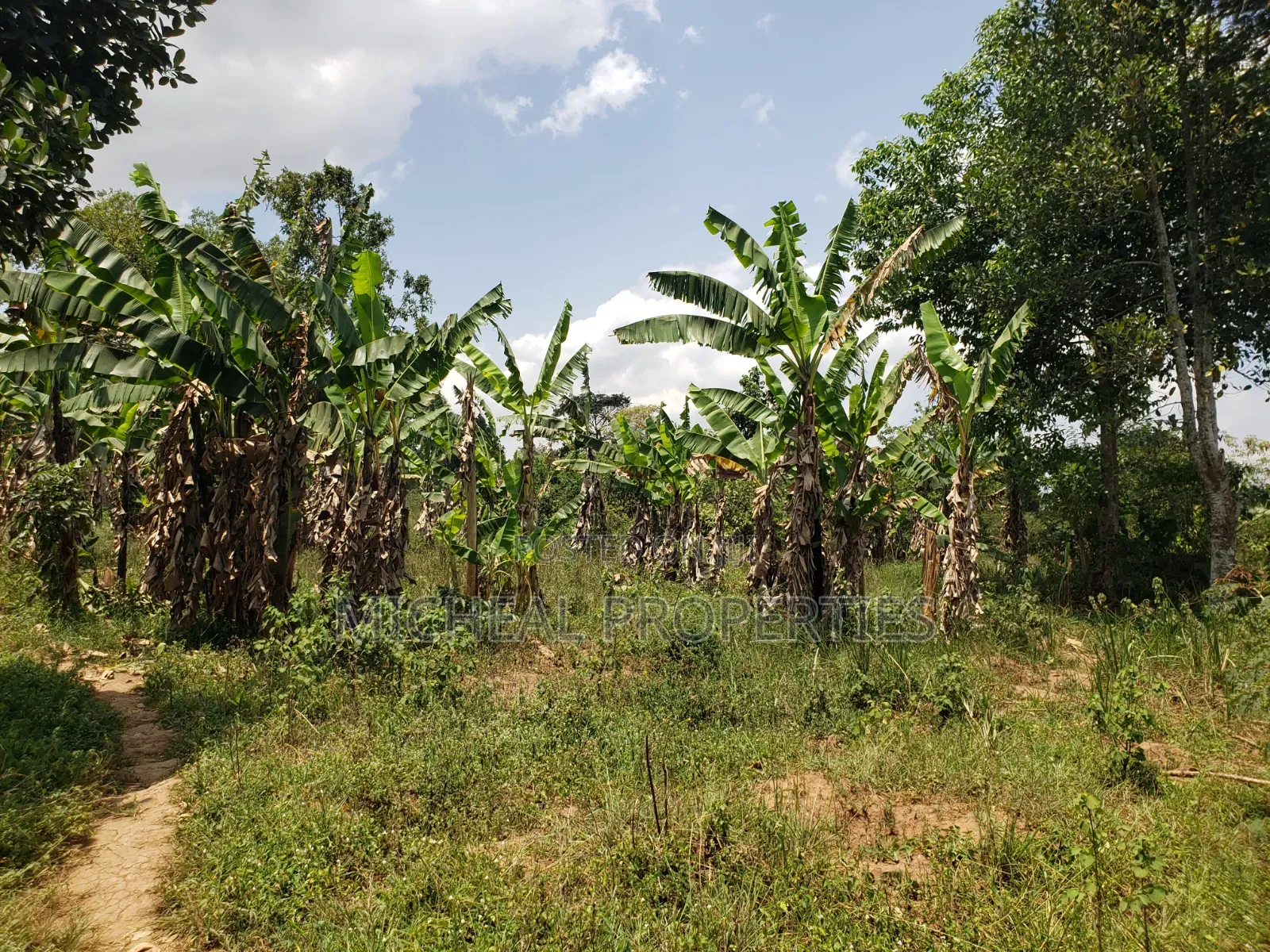 1acer and 37 Decimals Gayaza Nakasajja 120m
