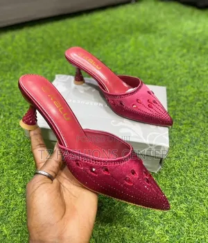 Ladies Classic Shoes