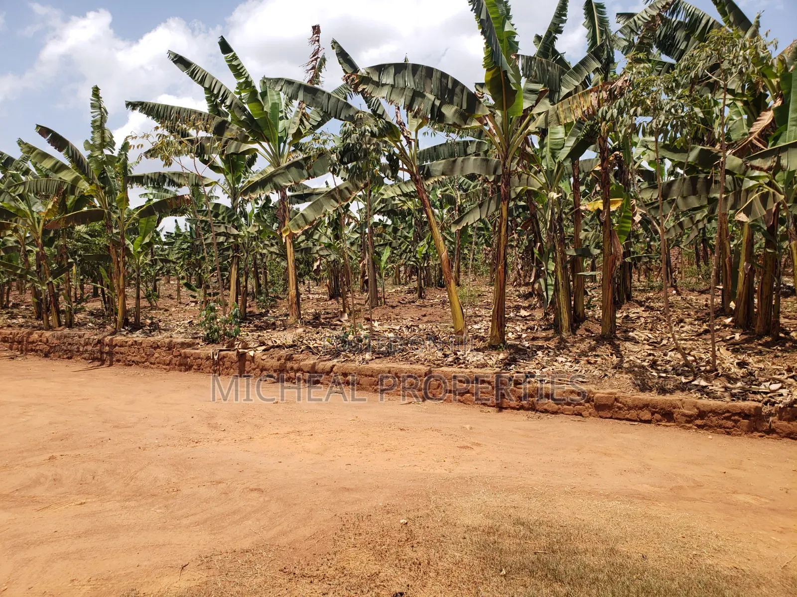 1acer for Sell Gayaza Nakwero at 600m