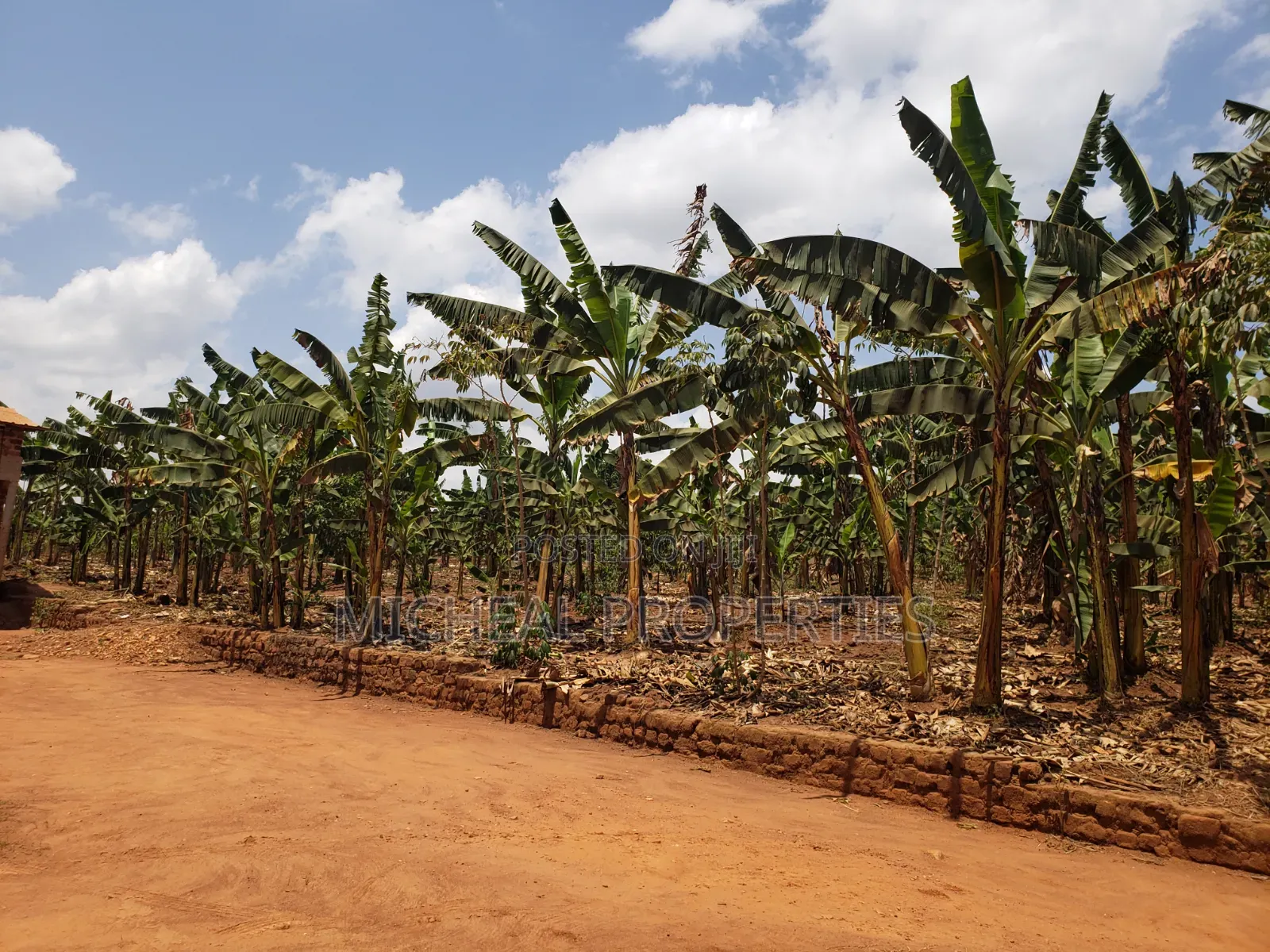 1acer for Sell Gayaza Nakwero at 600m