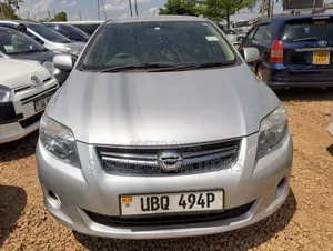 Toyota Corolla Fielder 2010 Silver