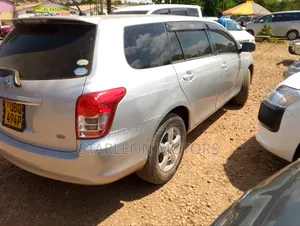 Toyota Corolla Fielder 2010 Silver