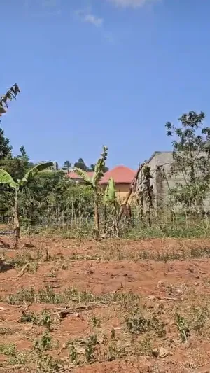 Plot on Sale Located at Entebbe Road Near St Mary's Kitende