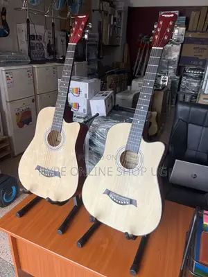 Music Facts Brandnew Dream Maker Acoustic Guitar