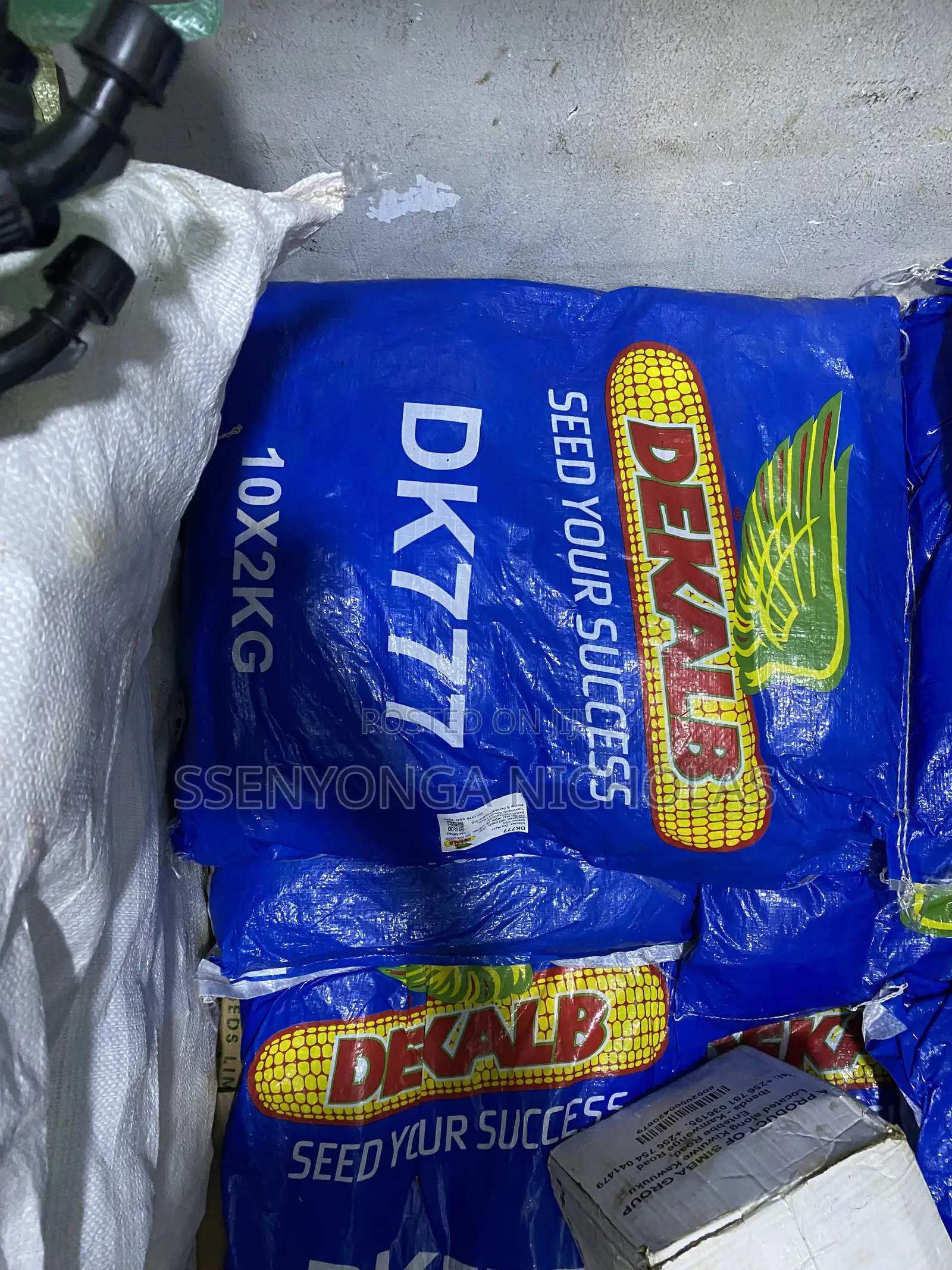Maize Seeds -Dk777 -2kgs