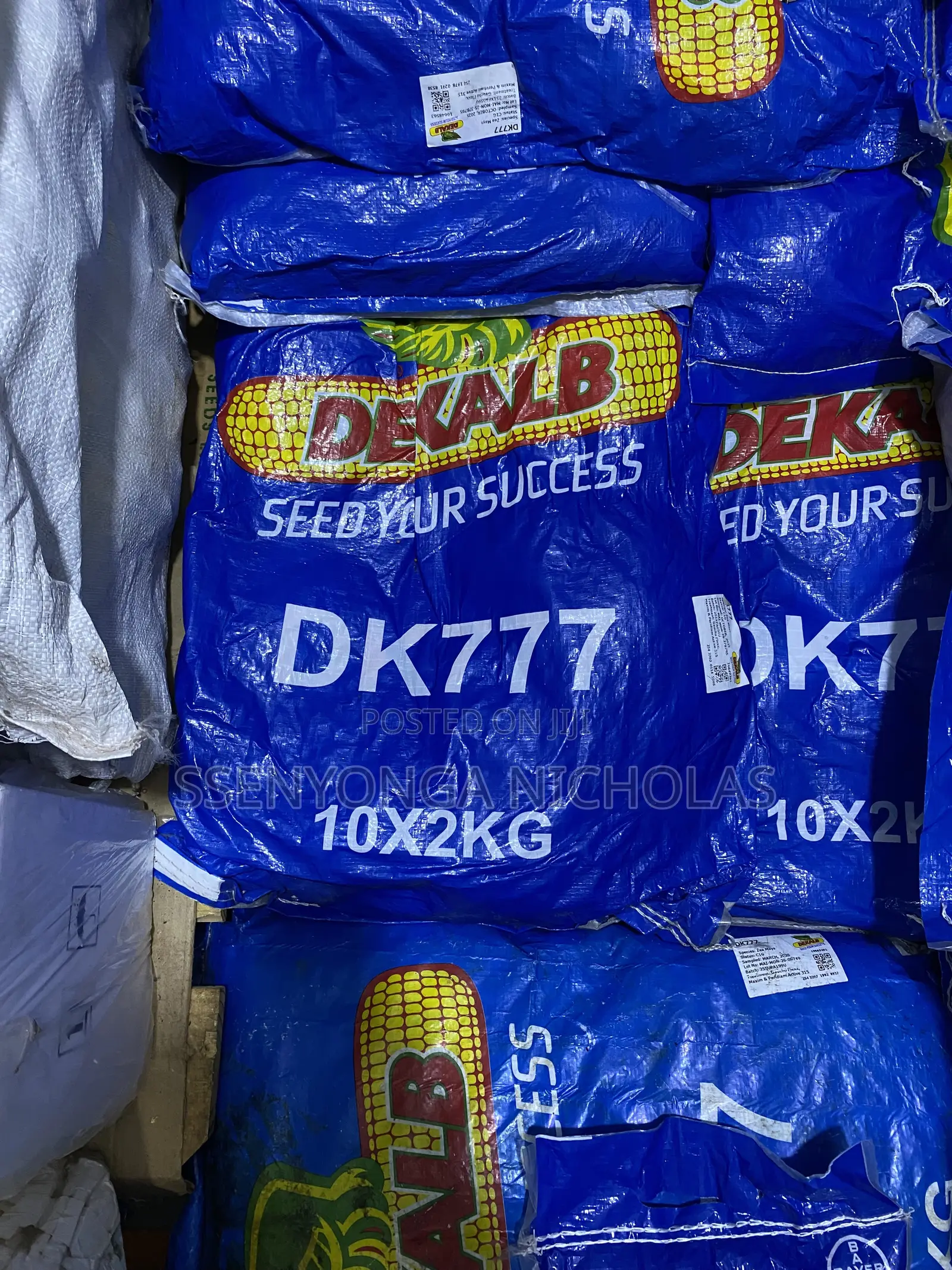 Maize Seeds -Dk777 -2kgs