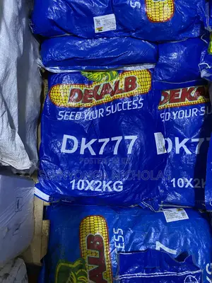 Maize Seeds -Dk777 -2kgs