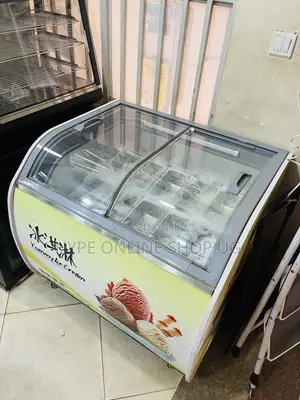 Specific for Icecream Deep Freezer Refrigerator