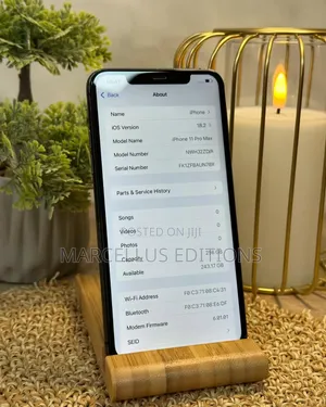 Apple iPhone 11 Pro Max 256 GB Black