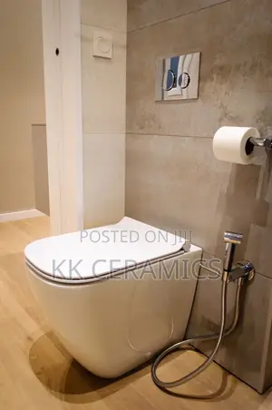 Conceled Toilet