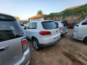 Volkswagen Tiguan 2013 White
