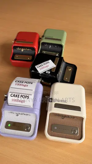 NIIMBOT B21pro