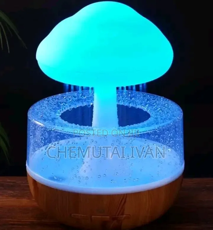 Mushroom 🍄 Rain Humidifiers