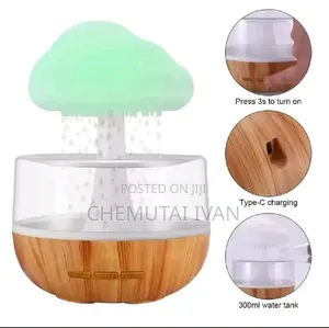 Mushroom 🍄 Rain Humidifiers