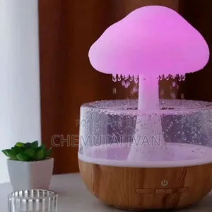 Mushroom 🍄 Rain Humidifiers