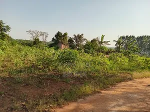Land on Sale