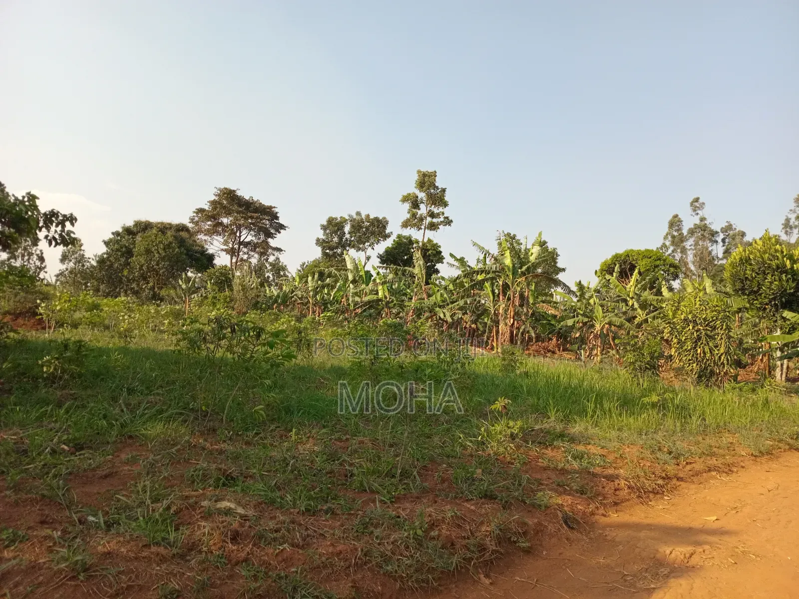 Land on Sale