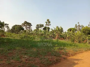 Land on Sale