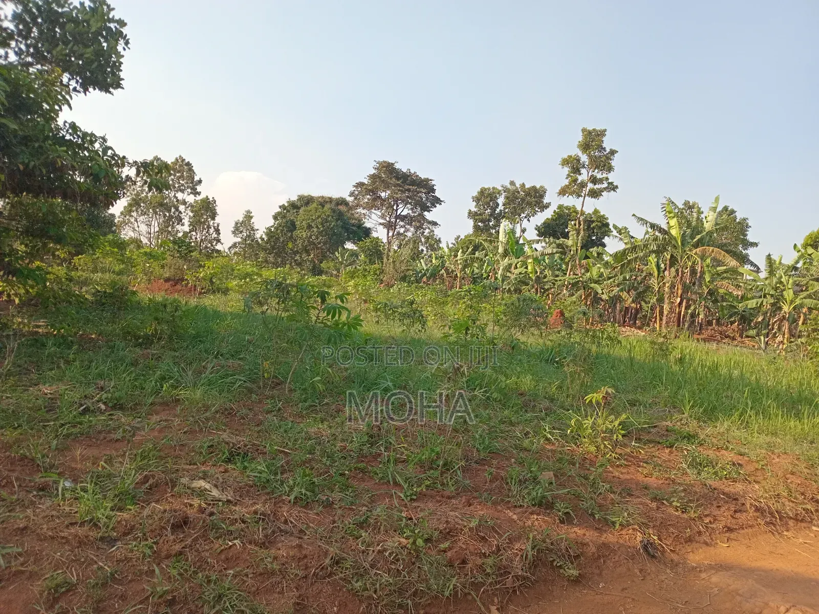Land on Sale