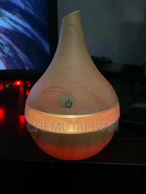 Colorful Changing Light Portable Diffuser