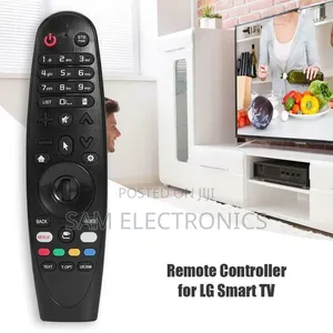 LG Magic Remotes