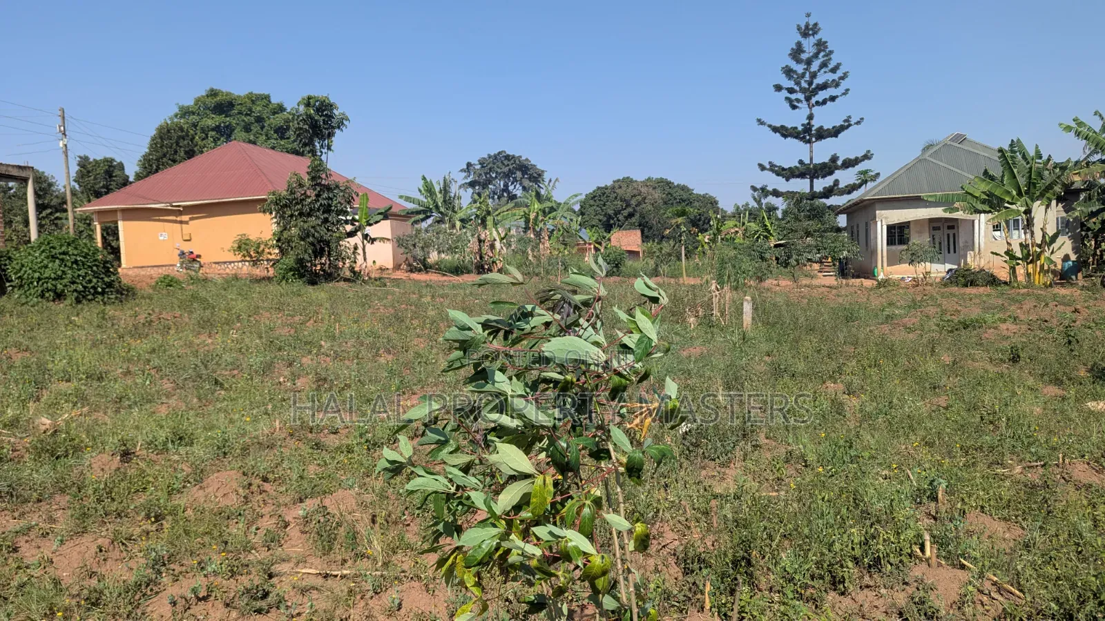 Plot for Sale in Matugga Kavule Town