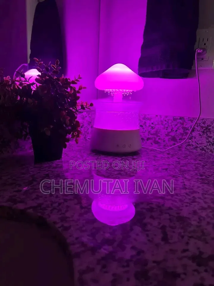 Coziest Cute Mushroom Air Humidifier + Changing Light