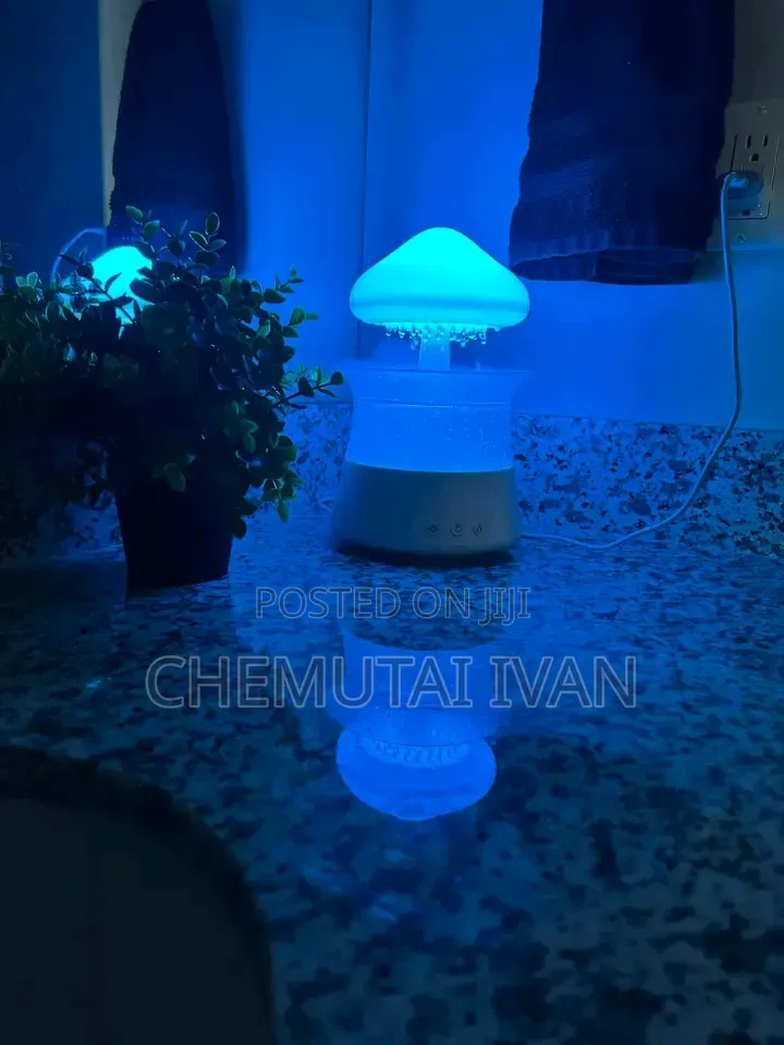 Coziest Cute Mushroom Air Humidifier + Changing Light