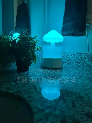 Coziest Cute Mushroom Air Humidifier + Changing Light