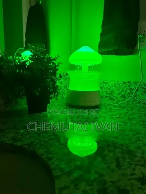 Coziest Cute Mushroom Air Humidifier + Changing Light