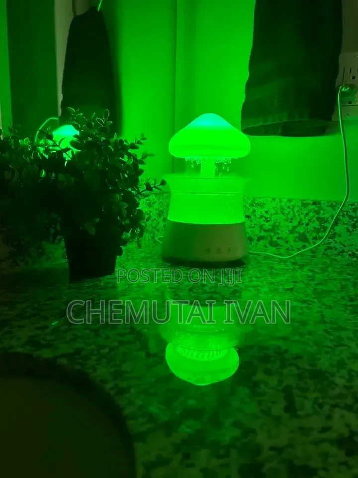 Coziest Cute Mushroom Air Humidifier + Changing Light