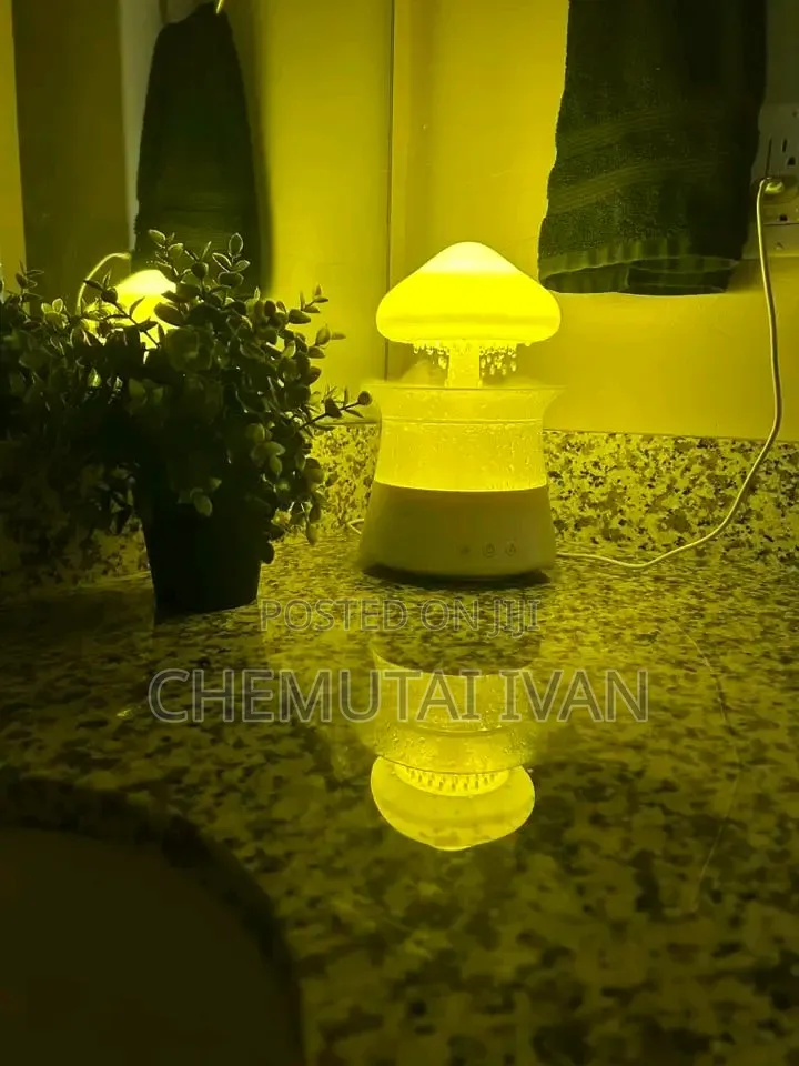 Coziest Cute Mushroom Air Humidifier + Changing Light