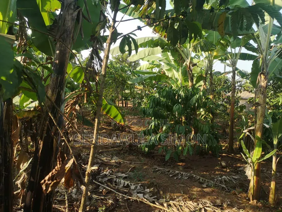 Commercial Plot for Sale