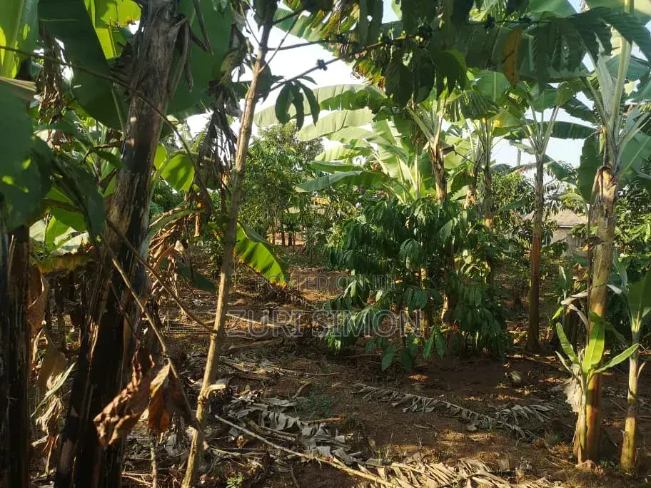 Commercial Plot for Sale