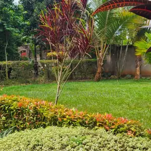 4bdrm House in Division A for sale