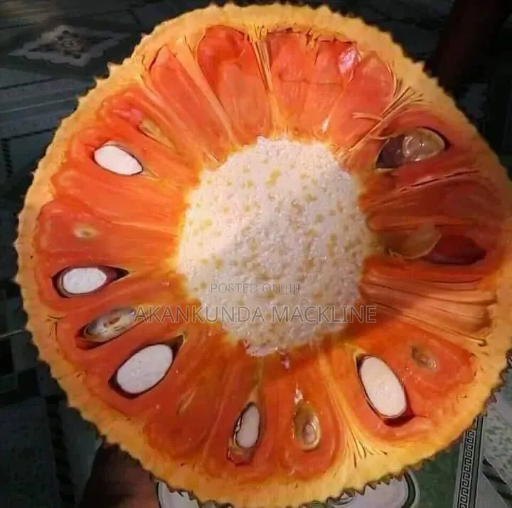 Red Jackfruit/Namusayi