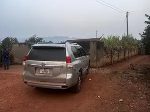 Toyota Land Cruiser Prado 3.0 TD 2013 Silver