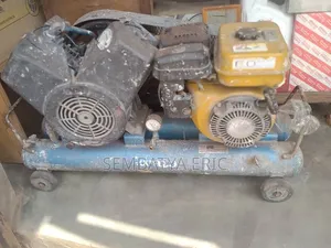 Paint Spraying Machine or Motor