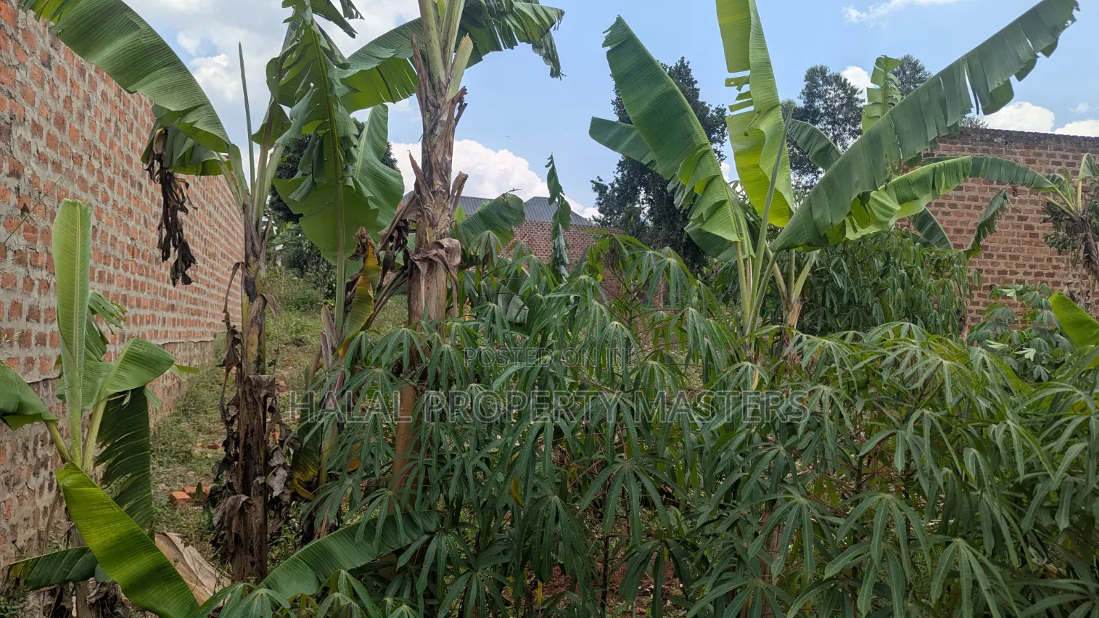 Plot for Sale in Matugga Kavule Town